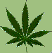 ganja.gif